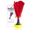 Indiaca tournament