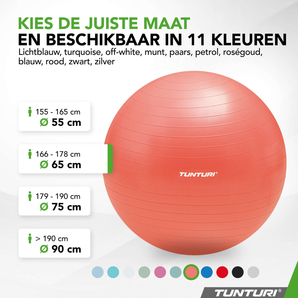 Tunturi Gymball 65cm, Rose gold, Anti Burst afbeelding 8
