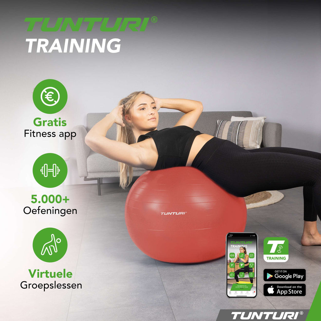 Tunturi Gymball 75cm, Rose gold, Anti Burst afbeelding 7