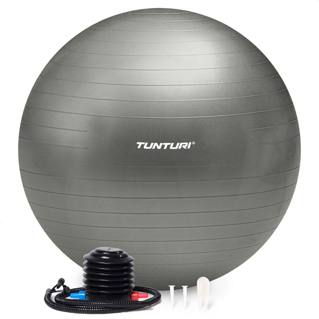 Tunturi Gymball 55cm, Silver, Anti Burst