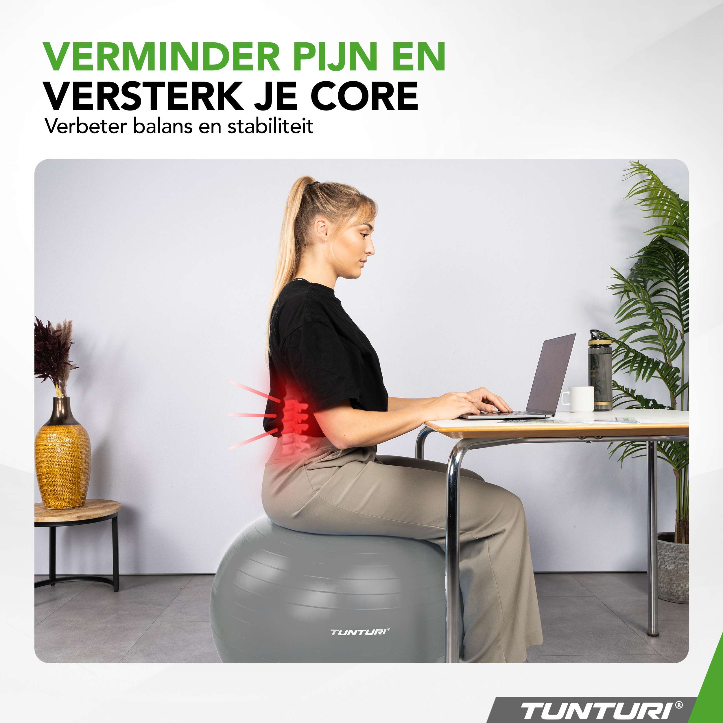 Tunturi Gymball 65cm, Silver, Anti Burst afbeelding 6