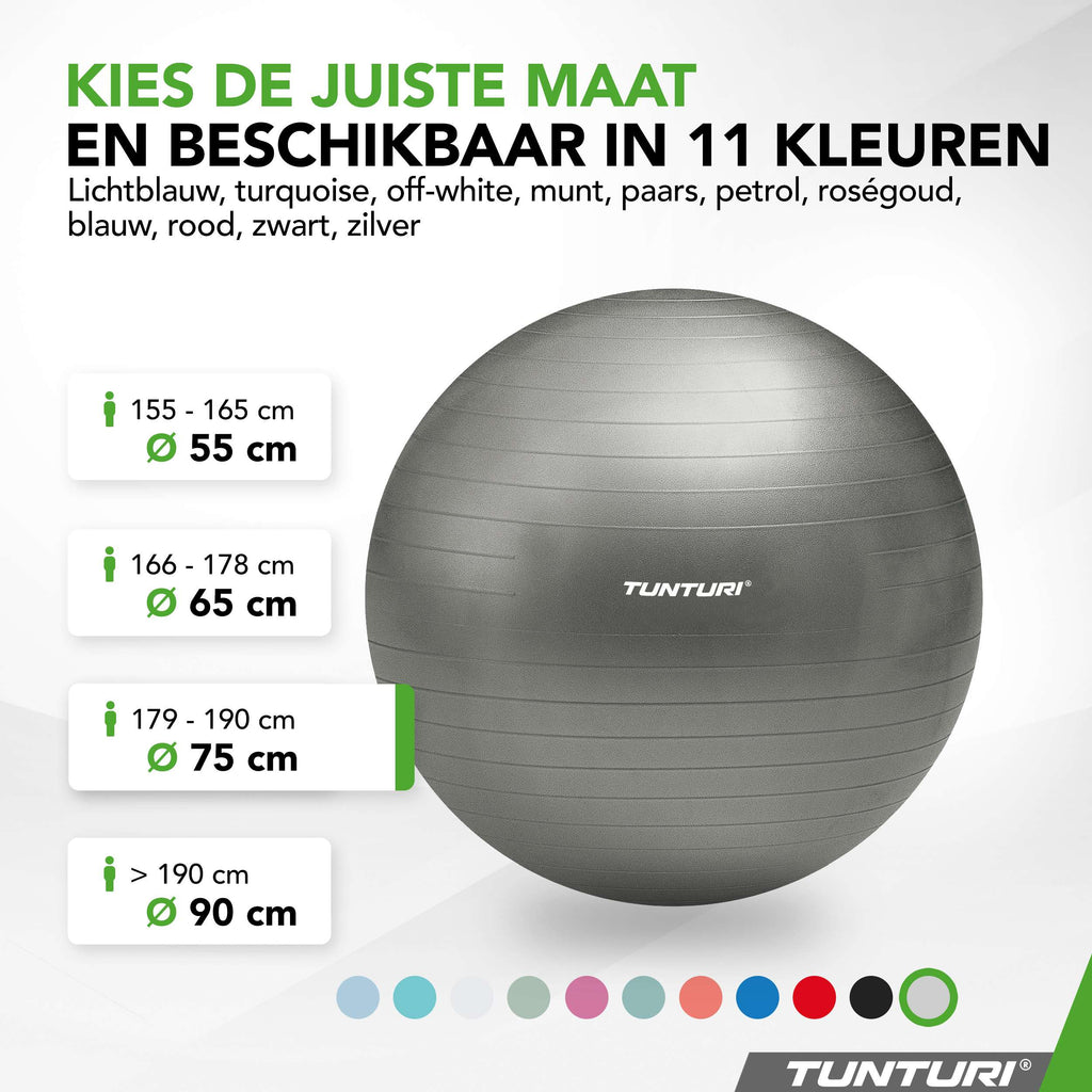 Tunturi Gymball 75cm, Silver, Anti Burst afbeelding 8