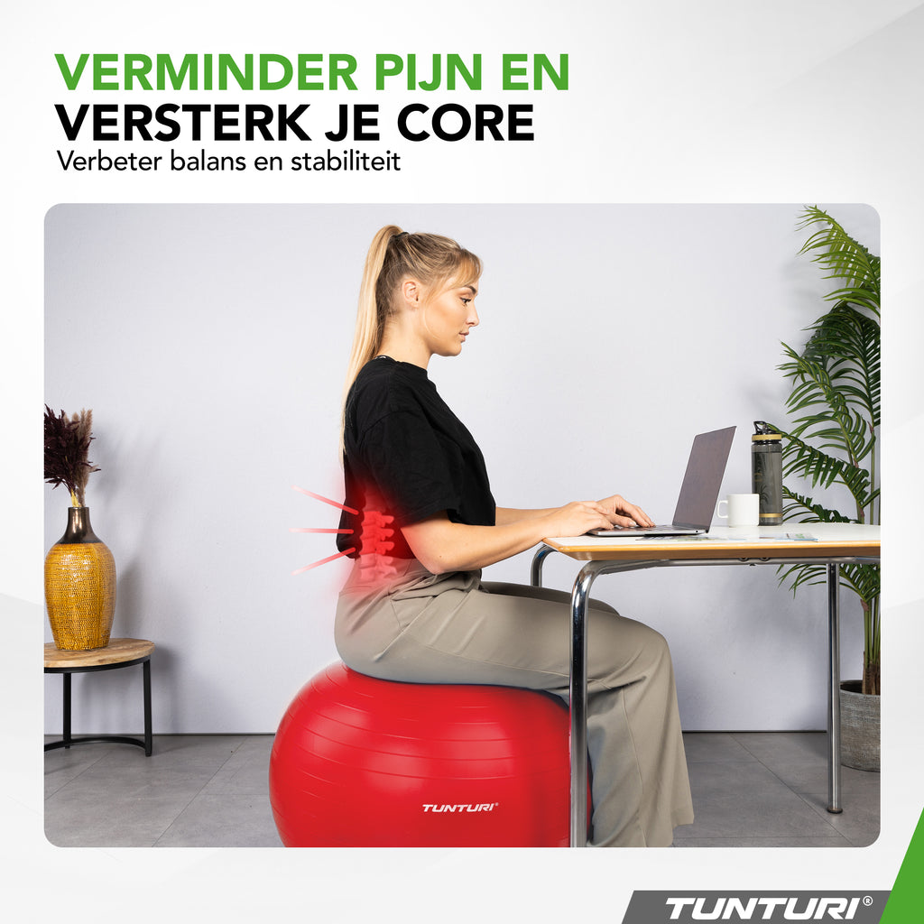 Tunturi Gymball 65cm, Red, Anti Burst afbeelding 6