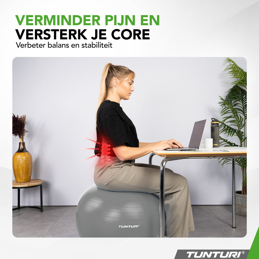 Tunturi Gymball 55cm, Silver, Anti Burst afbeelding 6