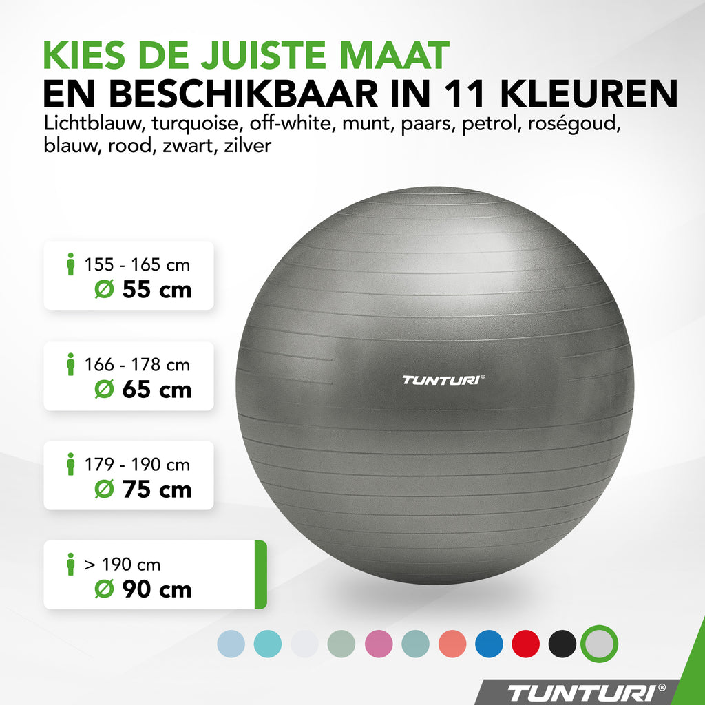 Tunturi Gymball 90cm, Silver, Anti Burst afbeelding 8