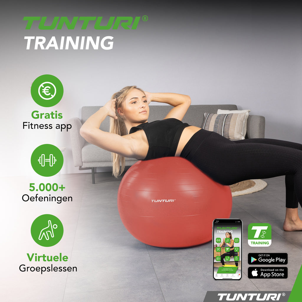 Tunturi Gymball 65cm, Rose gold, Anti Burst afbeelding 7
