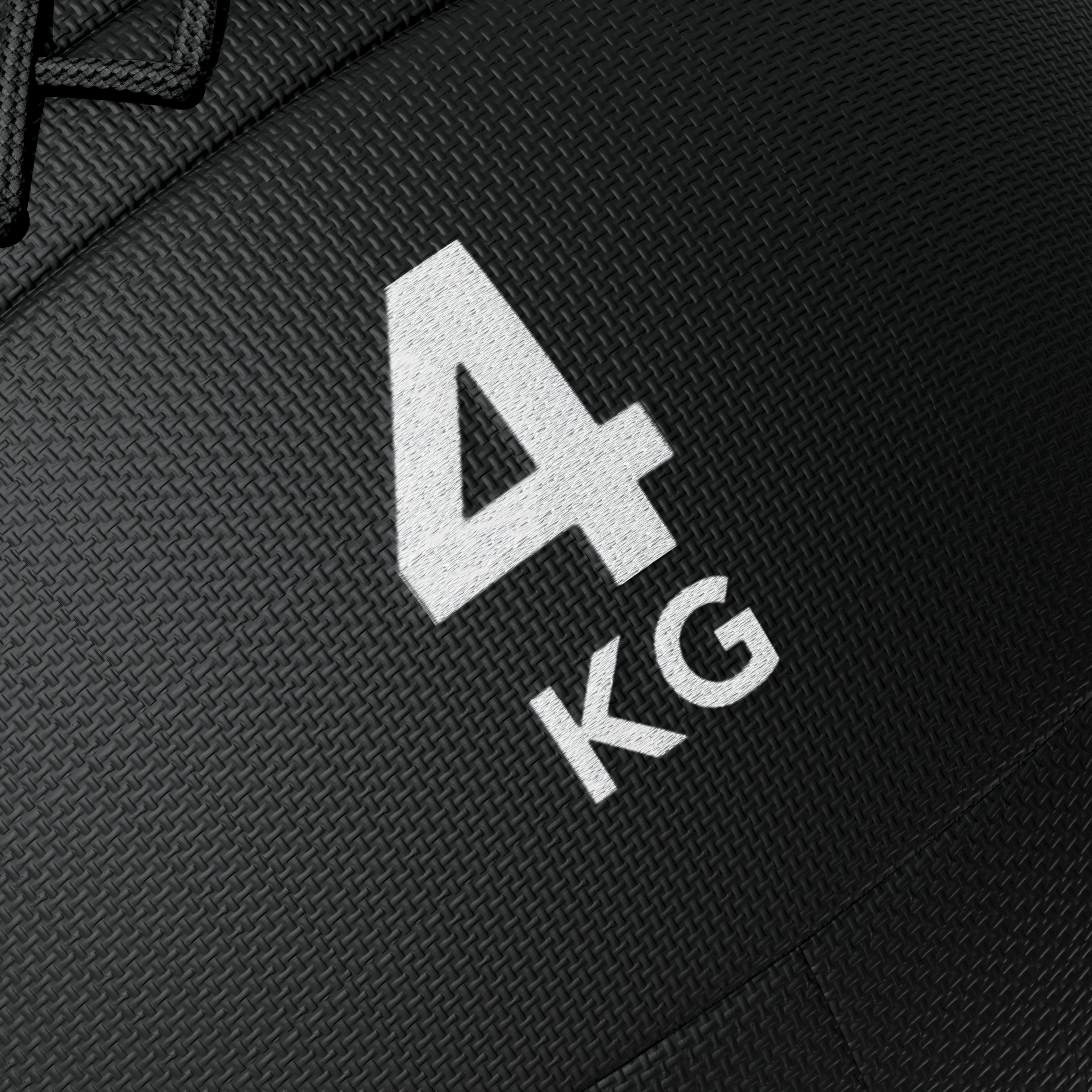 Tunturi Platinum Wall Ball, 4kg afbeelding 7