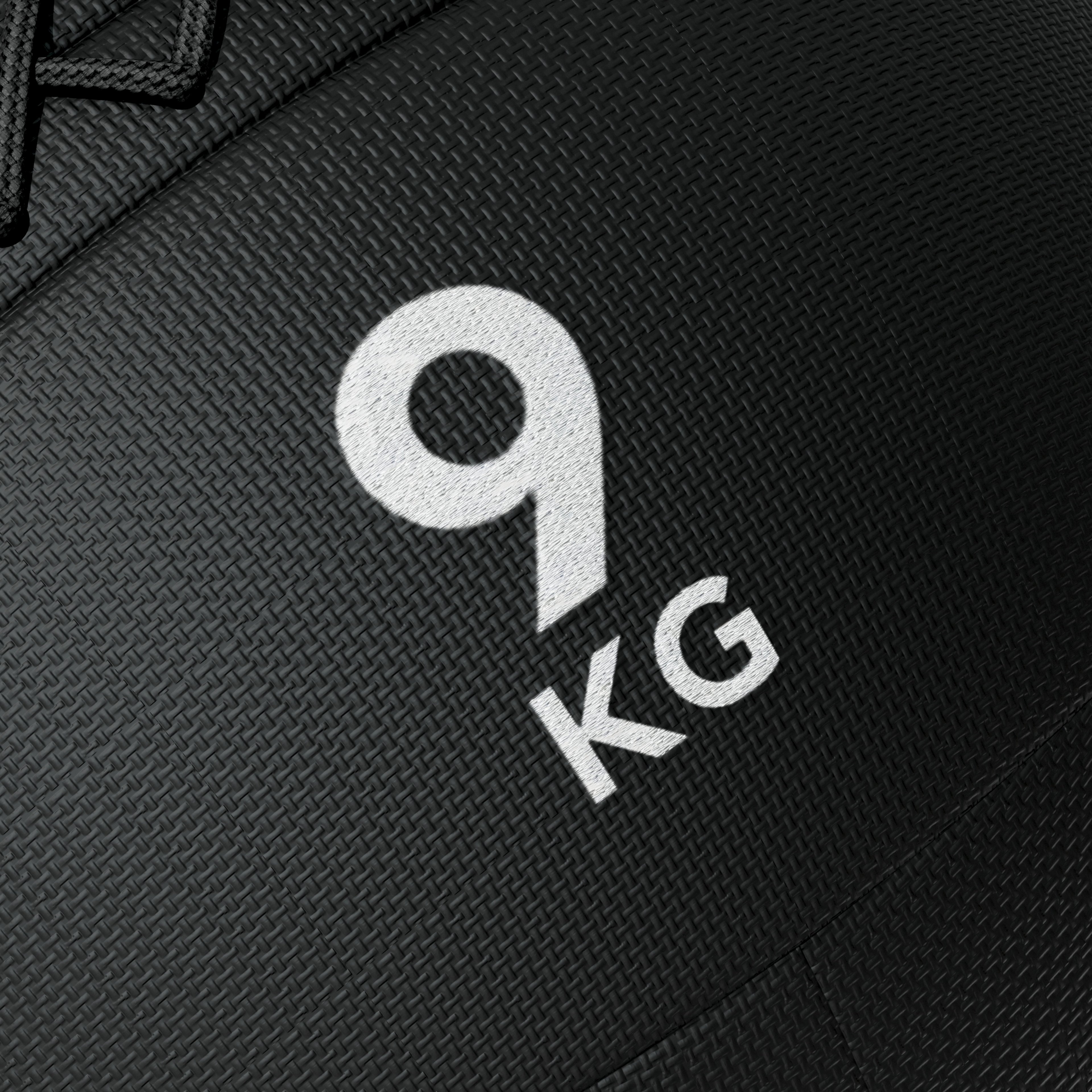 Tunturi Platinum Wall Ball, 9kg afbeelding 9